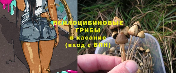 не бодяженный Абаза