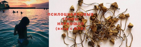 не бодяженный Абаза