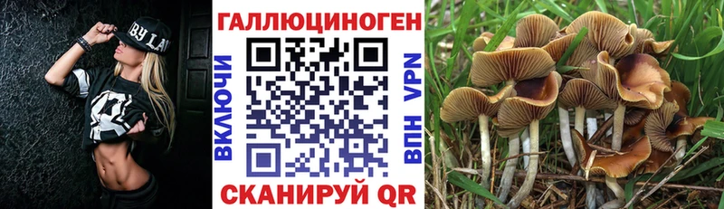 Псилоцибиновые грибы мухоморы  сколько стоит  Вилючинск 
